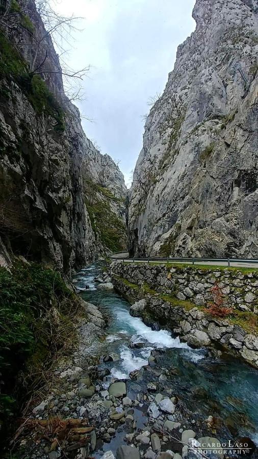 Casa Cuevas Vendégház Cuevas  Kültér fotó