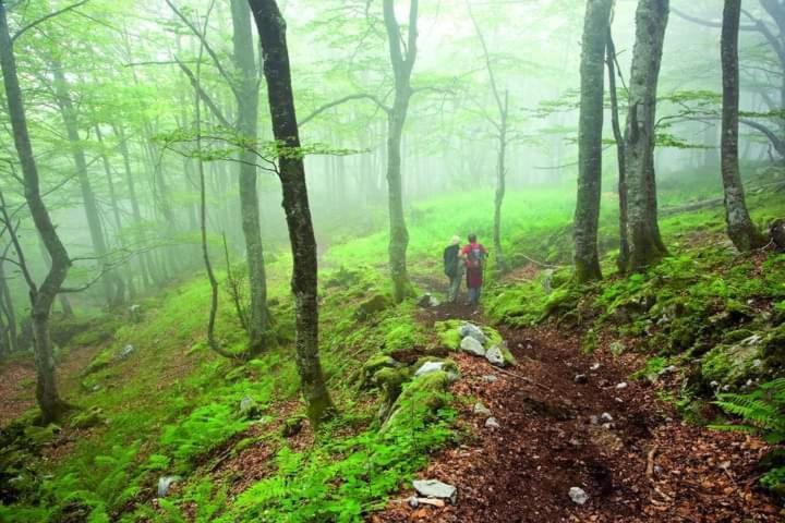 Casa Cuevas Vendégház Cuevas  Kültér fotó