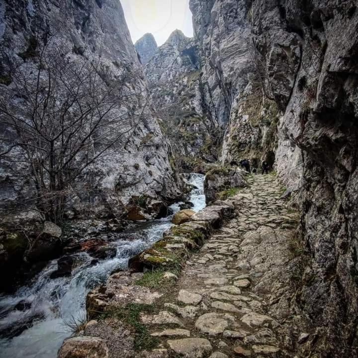 Casa Cuevas Vendégház Cuevas  Kültér fotó